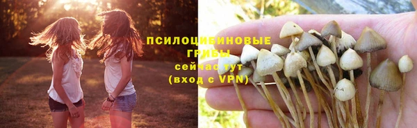 соль ск Вязники