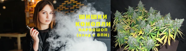 тгк Вязьма