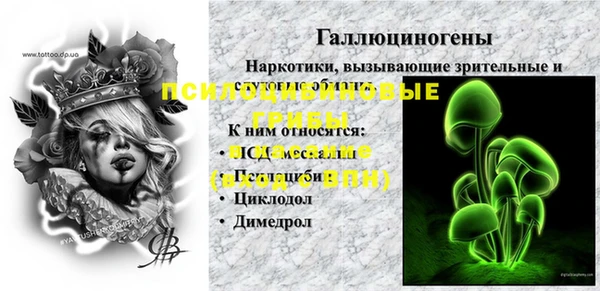 соль ск Вязники