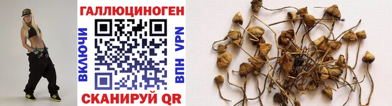 Псилоцибиновые грибы GOLDEN TEACHER  Истра 